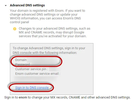 DNS details -screenshot