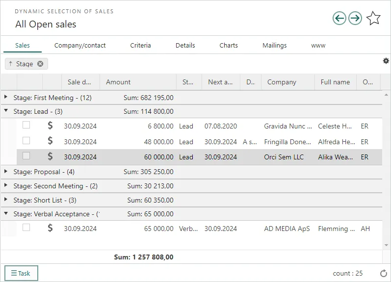 Selection of sales - grouping and sum of amount -screenshot